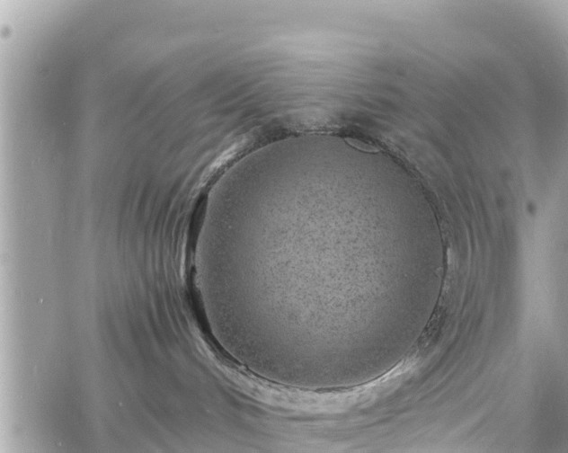 X0000060770048200511141308