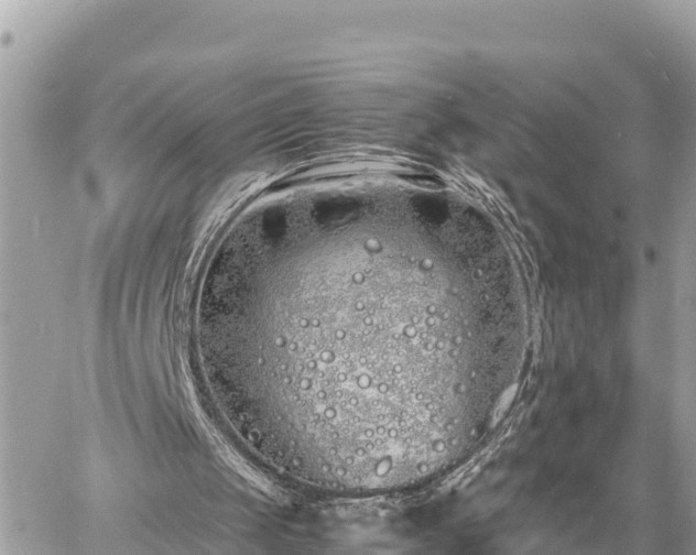 X0000060770049200511141308