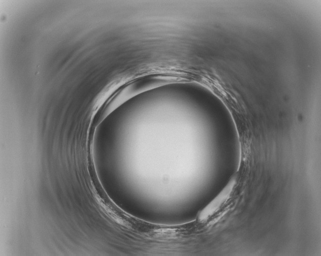 X0000060770052200511141308