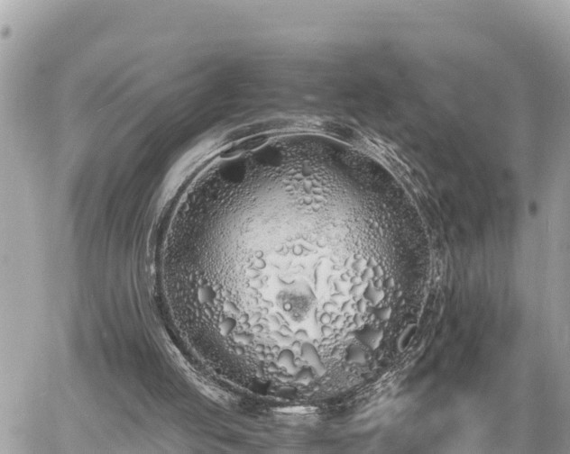 X0000060770053200511141308