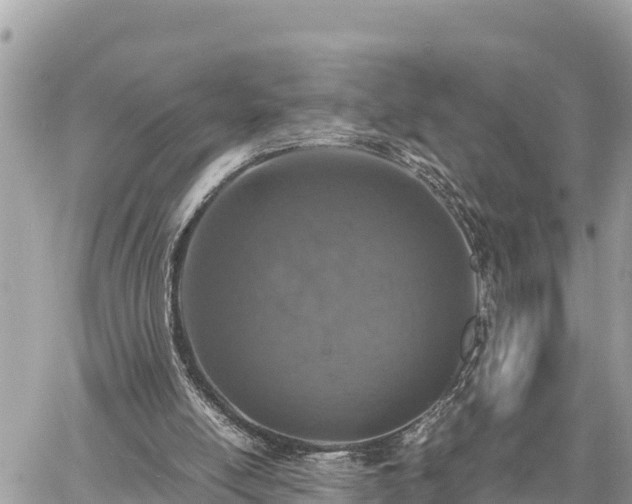 X0000060770054200511141308