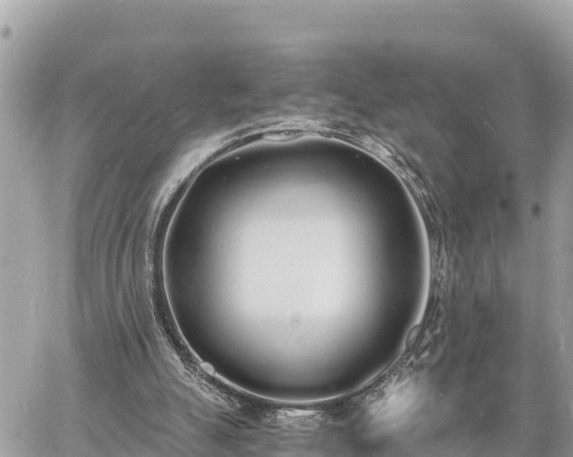 X0000060770055200511141308