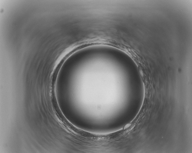 X0000060770056200511141308