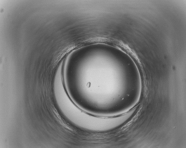 X0000060770057200511141308