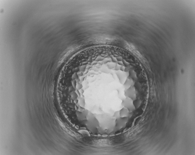 X0000060770058200511141308