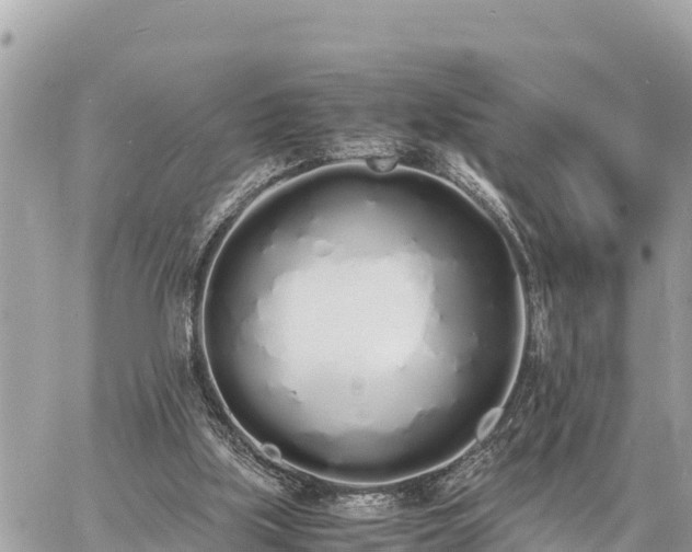 X0000060770059200511141308