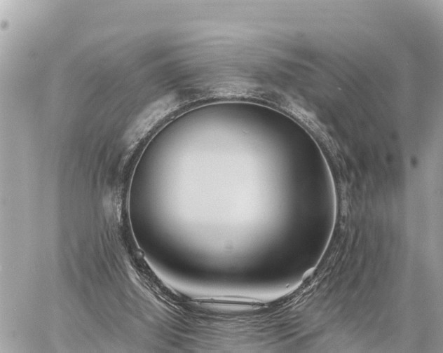 X0000060770060200511141308