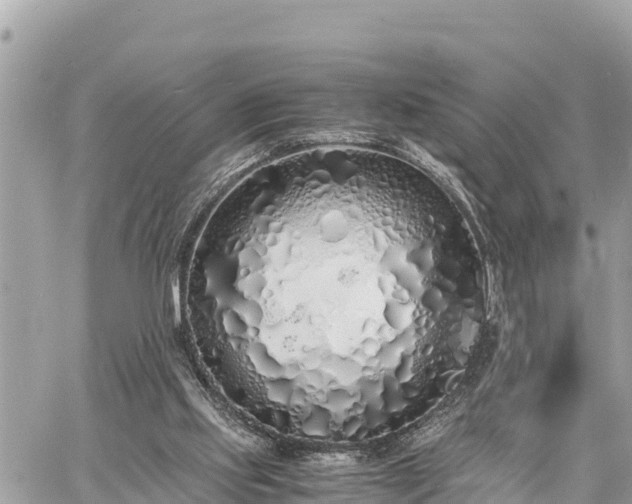 X0000060770061200511141308