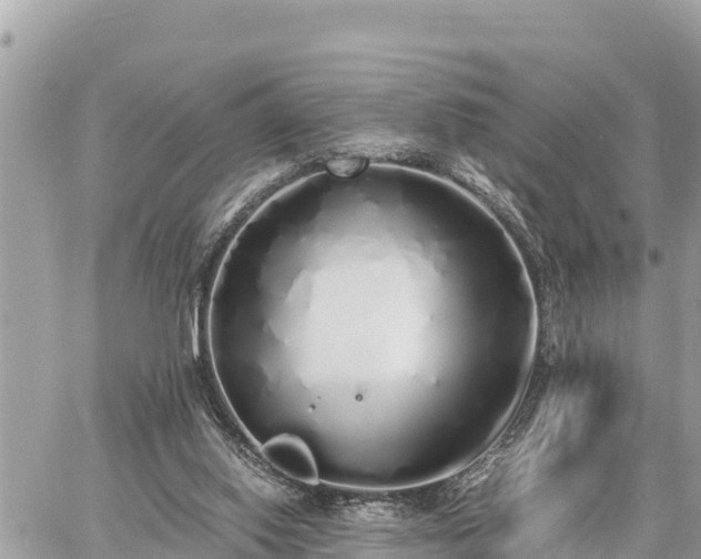 X0000060770062200511141308