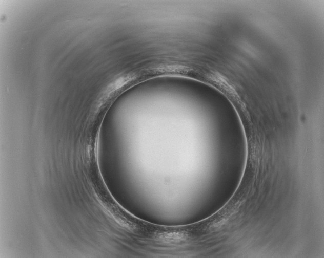 X0000060770063200511141308