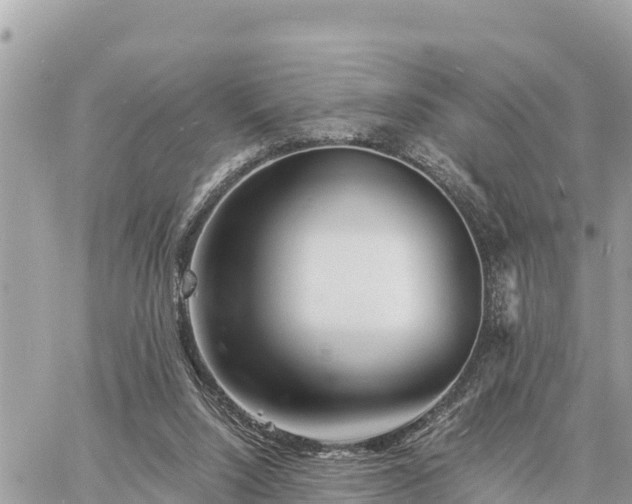 X0000060770064200511141308