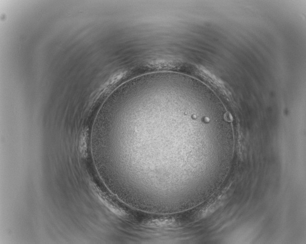 X0000060770065200511141308