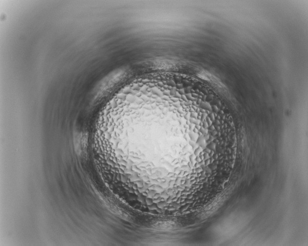 X0000060770066200511141308