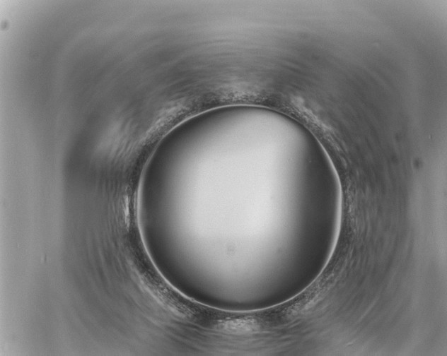 X0000060770067200511141308