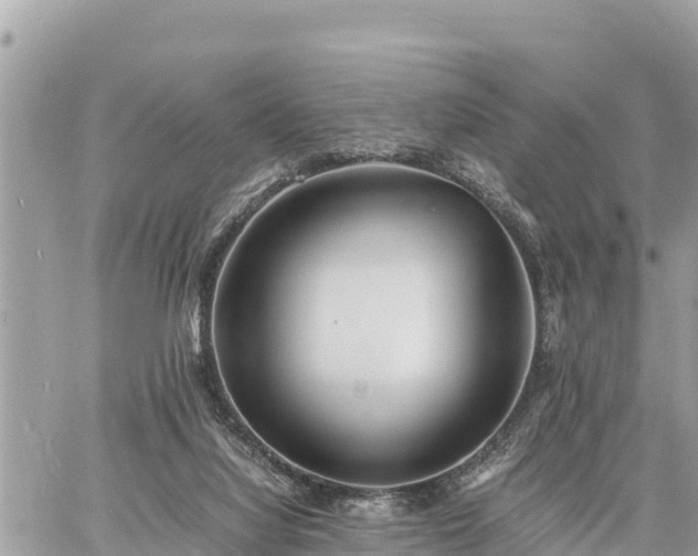 X0000060770068200511141308