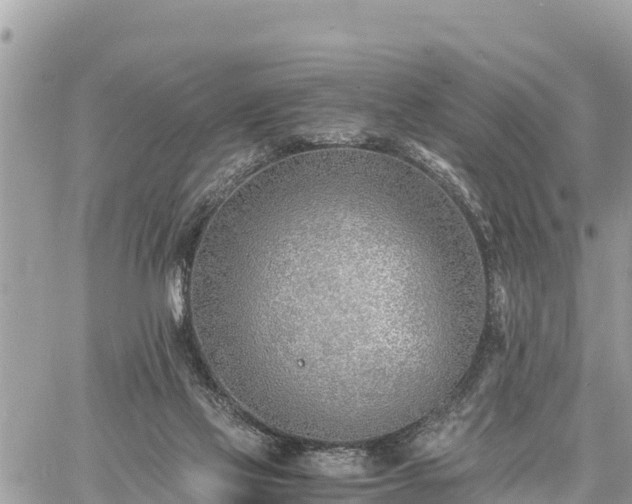 X0000060770069200511141308