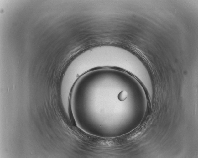 X0000060770071200511141308