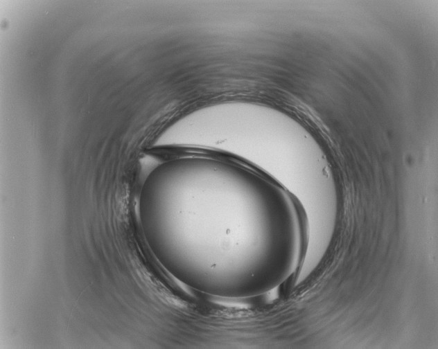 X0000060770073200511141308