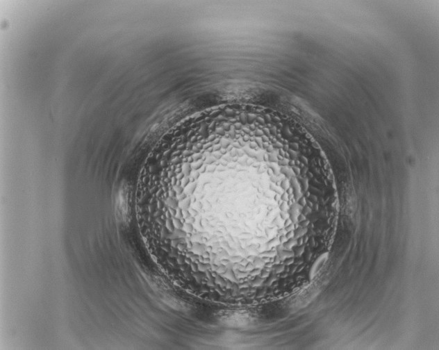 X0000060770074200511141308