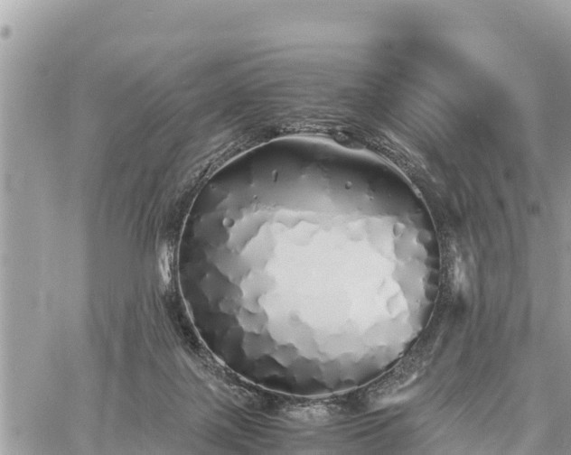 X0000060770075200511141308