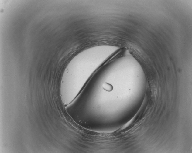 X0000060770077200511141308