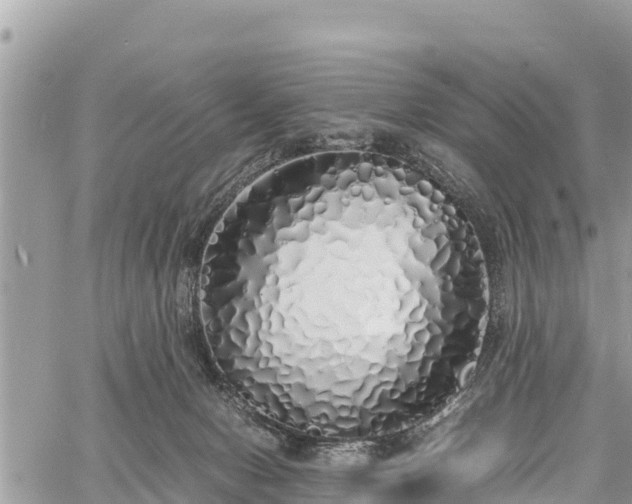 X0000060770078200511141308