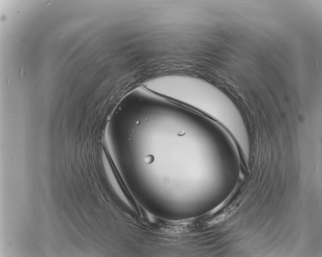 X0000060770079200511141308