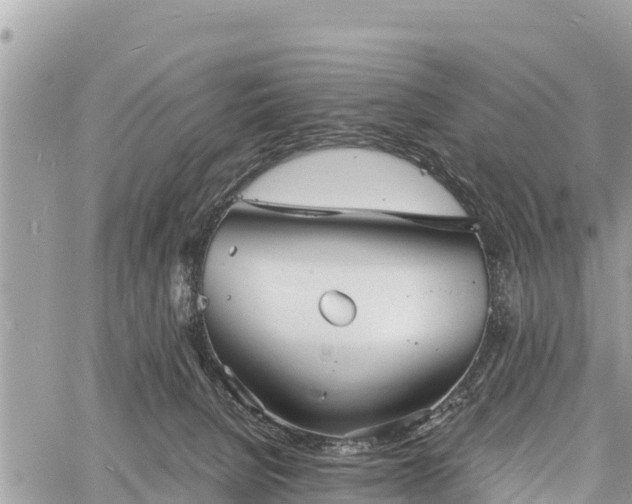 X0000060770080200511141308