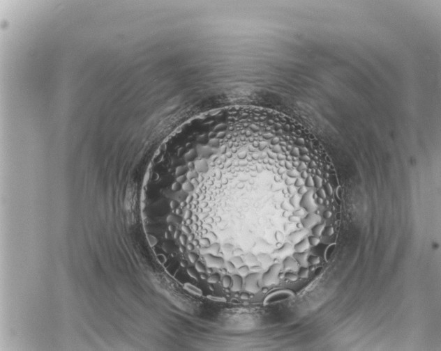 X0000060770082200511141308