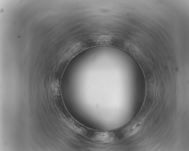 X0000060770083200511141308