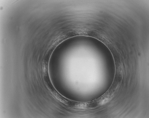 X0000060770084200511141308