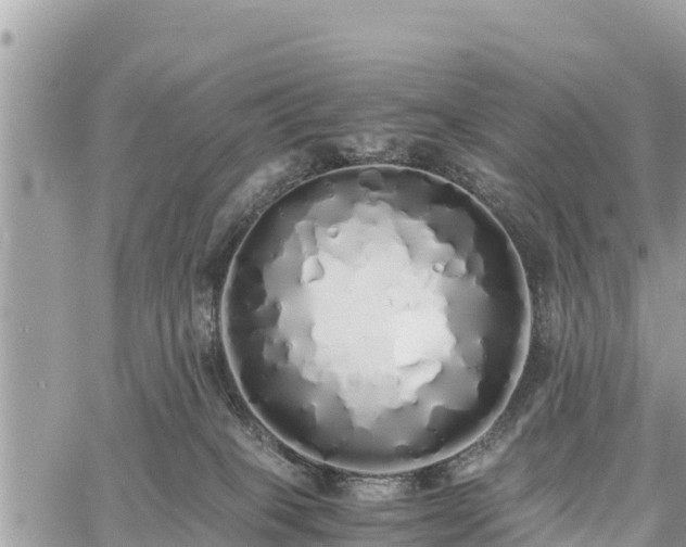 X0000060770085200511141308