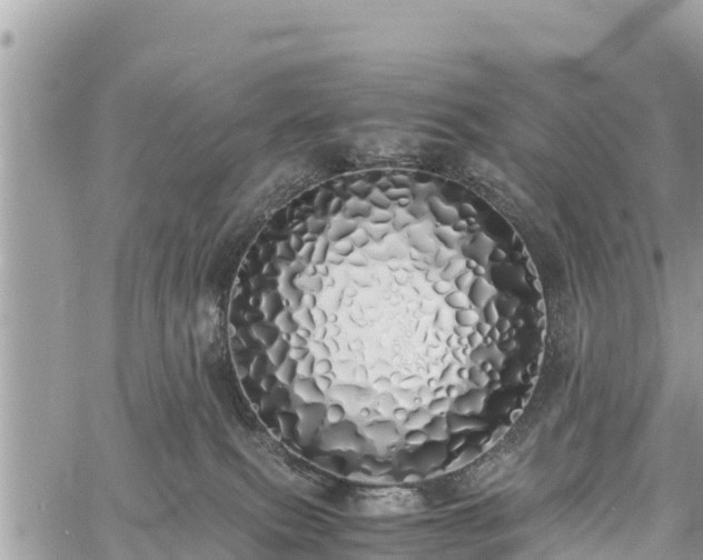 X0000060770087200511141308