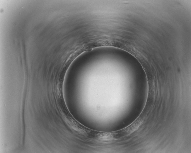 X0000060770088200511141308