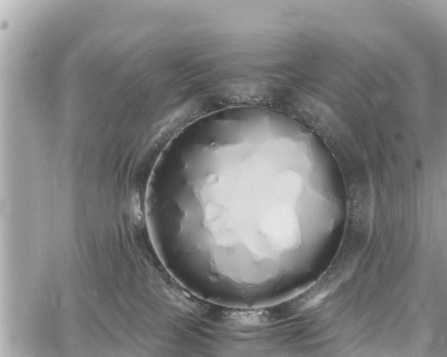 X0000060770089200511141308