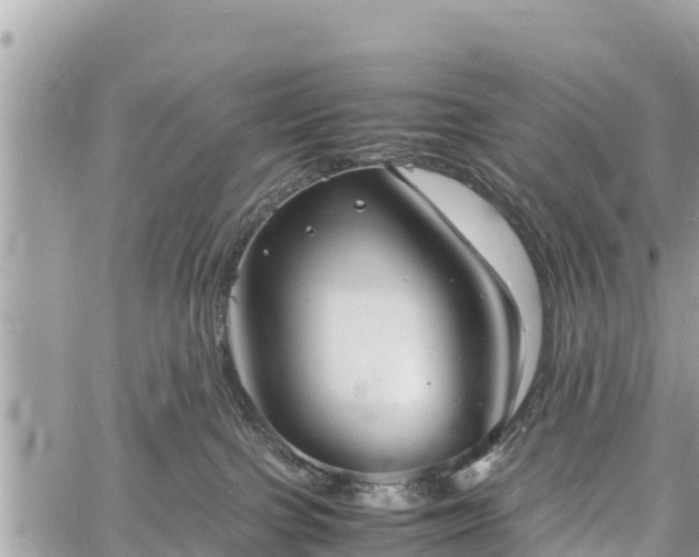 X0000060770091200511141308