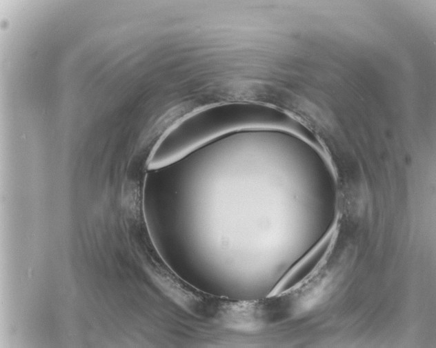 X0000060770092200511141308