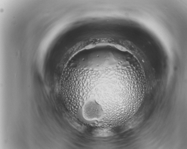 X0000060770093200511141308