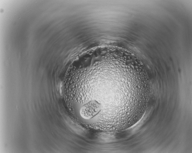 X0000060770094200511141308