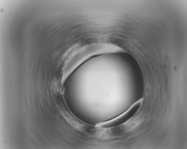 X0000060770096200511141308