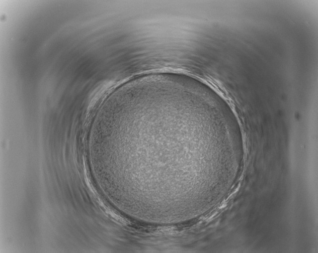 X0000060770097200511141308