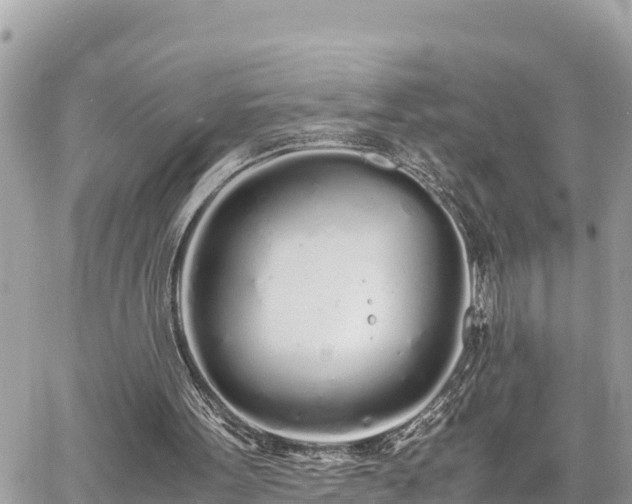 X0000060770099200511141308