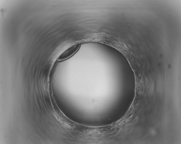 X0000060770100200511141308