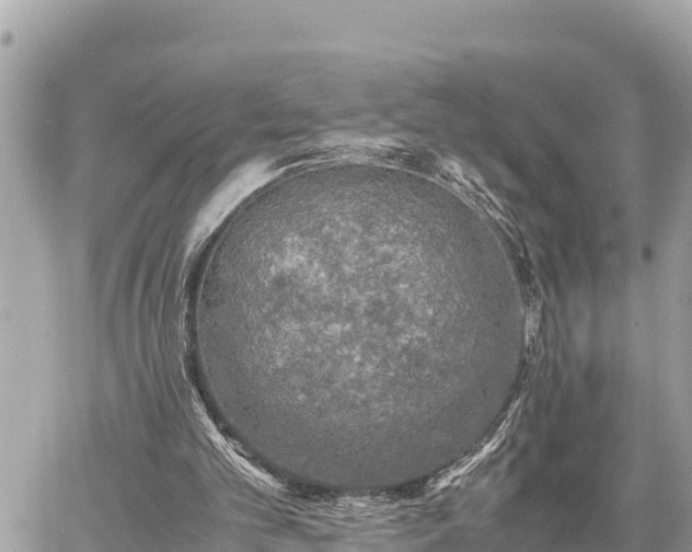 X0000060770101200511141308