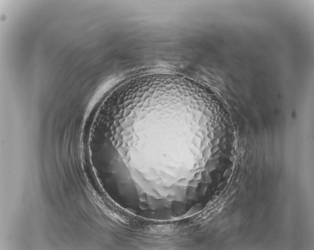 X0000060770102200511141308