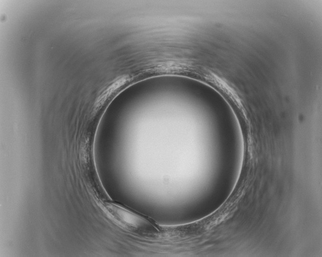 X0000060770105200511141308