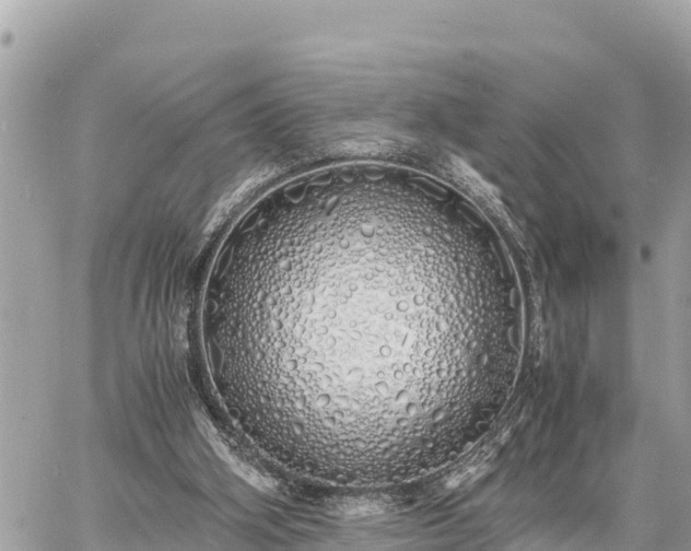 X0000060770106200511141307