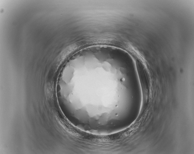 X0000060770107200511141307