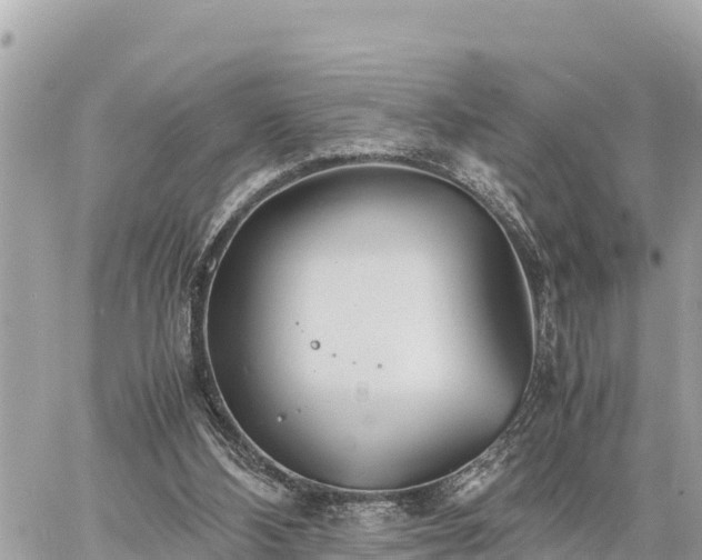 X0000060770108200511141307