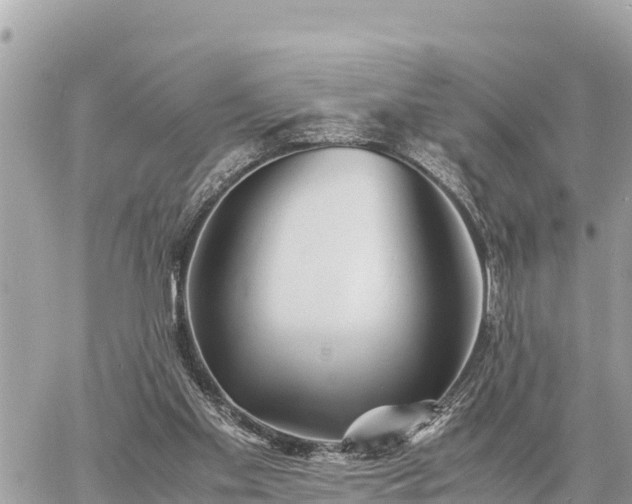 X0000060770109200511141307